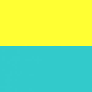 Esmeralda/amarillo/tirantes fucsia