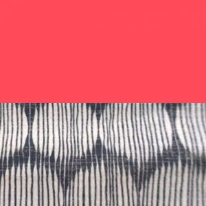 Guetaria/coral flúor